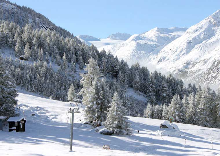 Bergrestaurant Alpina - Winter
